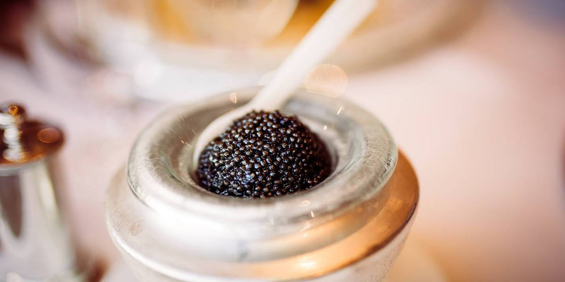 Der teurste Wirkstoff "Kaviar" | Beauty-Outlet24