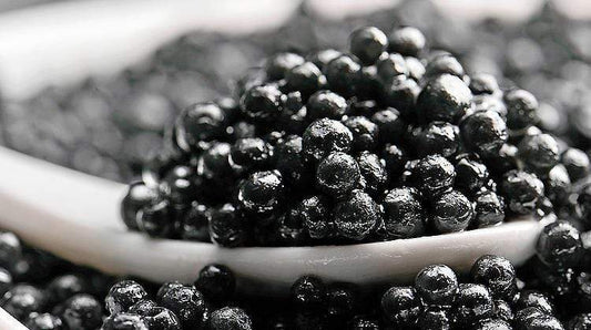 Mehr zum teuersten Inhaltsstoff in der Kosmetik "Kaviar" | Beauty-Outlet24